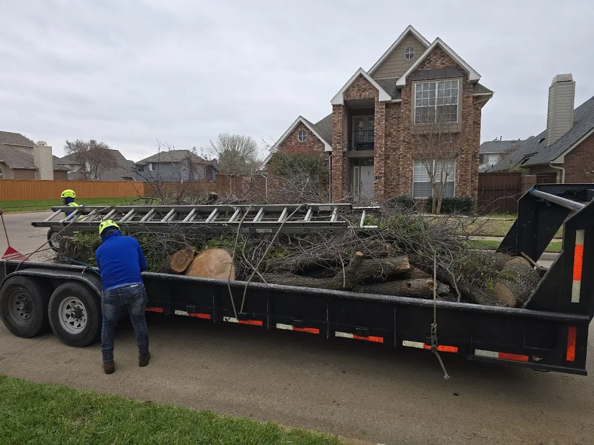 Expert Tree Fertilization with proper safety equipment in Riviera